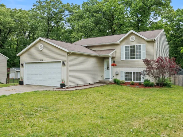 4778 Blue Heron Dr, Pierson, MI 49339