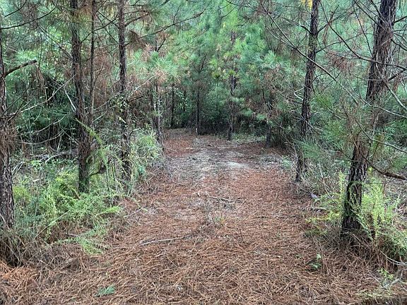 5th image of 0 Lower Harmony Rd #0