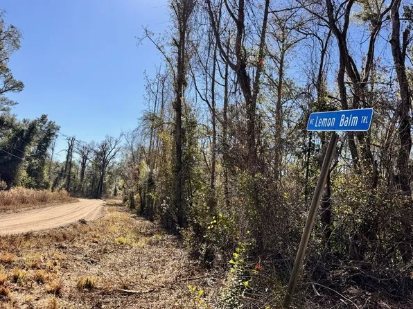 0 NE River Park Rd Lot 17, Lee, FL 32059