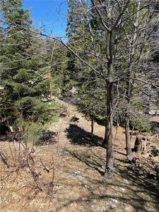 0 Circle, Cima, CA, 92323