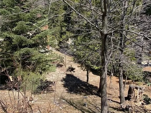 0 Circle, Cima, CA 92323