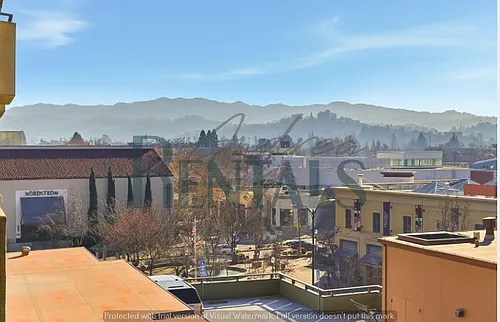 1201 Alta Vista Dr #203 Photo 1