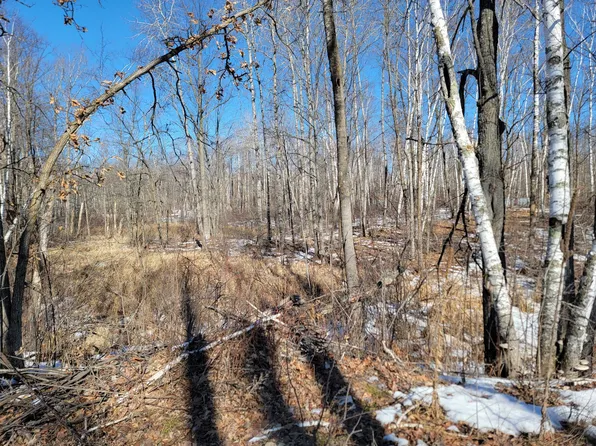 Meadow Lake Rd, Motley, MN 56466