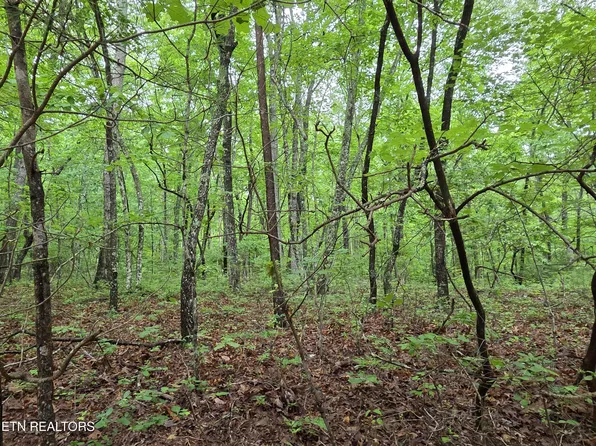 45 Brenningham Ln, Crossville, TN 38558