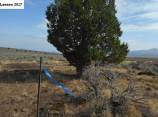 320 Acres Old Termo Grasshopper Rd, Termo, CA 96132