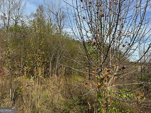 3rd image of 567 George W Towns Rd