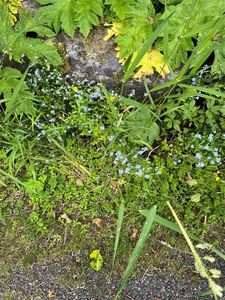 0 N 6th St, Fernandina Beach, FL, 32034