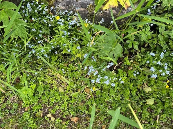 0 N 6th St, Fernandina Beach, FL 32034