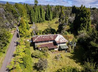 19-4230 Haunani Rd, Volcano, HI 96785