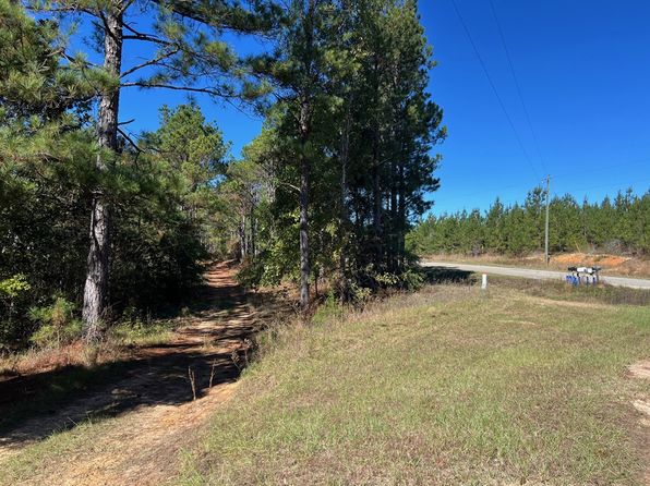 50 Holanna Spur, Morris, GA 39867