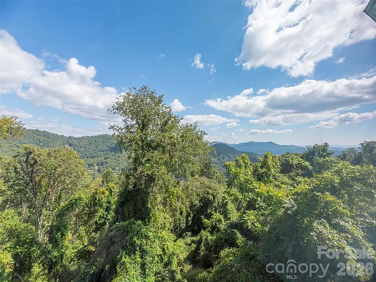 647 Town Mountain Rd #203 — Photo 11