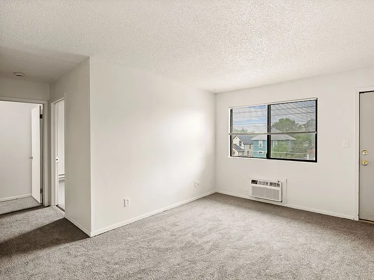 Plum Tree Apartments - 1 & 2 BEDROOMS — Photo 11