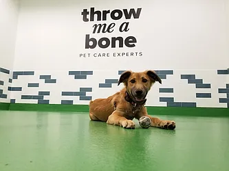 Rented by Taconic Partners