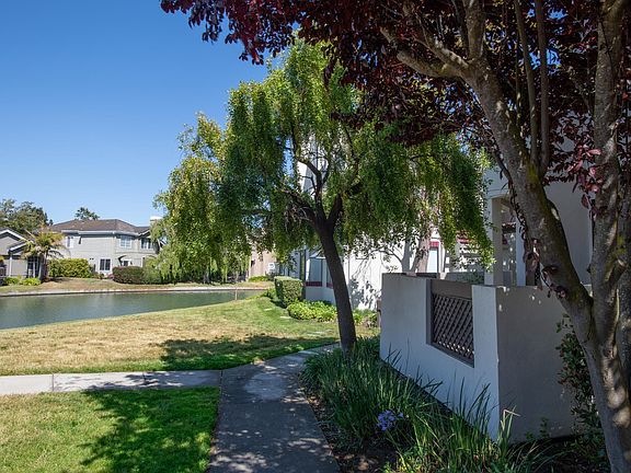 3rd image of 528 Shorebird Cir Unit 8101