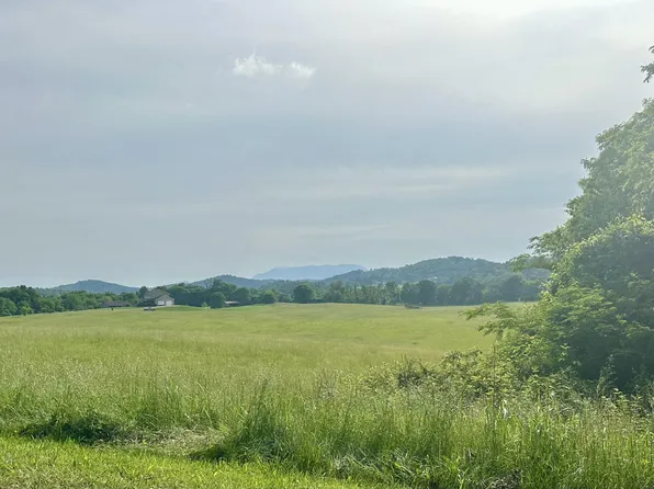 4 Bluff Rd, Parrottsville, TN 37843