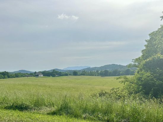 4 Bluff Rd, Parrottsville, TN 37843