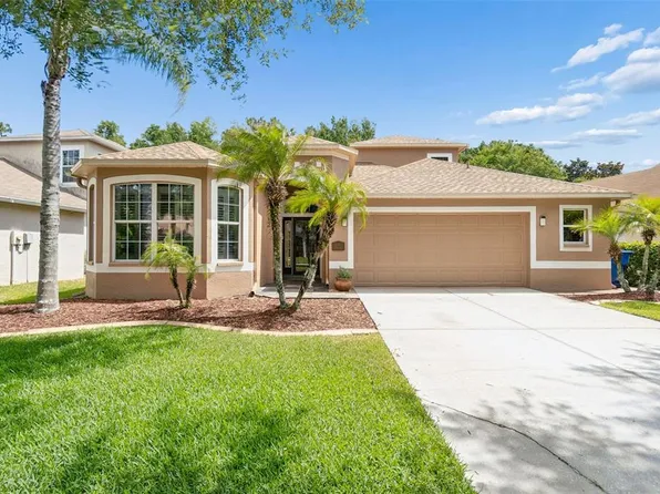 15907 Pond Rush Ct, Land O Lakes, FL 34638