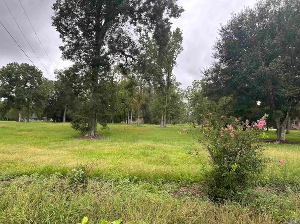 42365D Clouatre Rd, Gonzales, LA 70737
