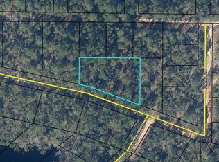 0 Pintail Dr, Vernon, FL 32462