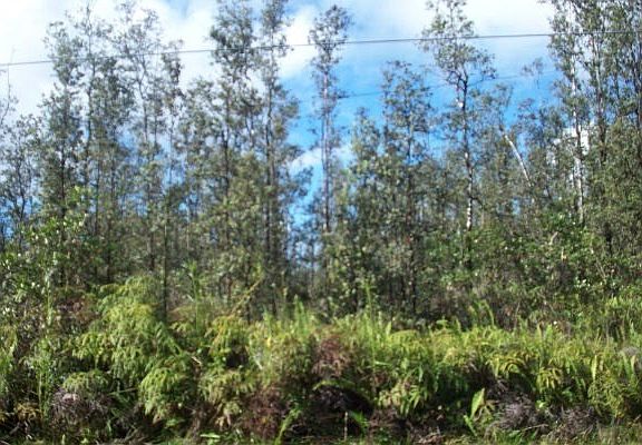 3rd image of 40th St Lot 69