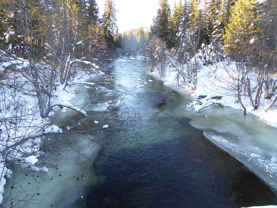 1st image of Clearwater Ests #5