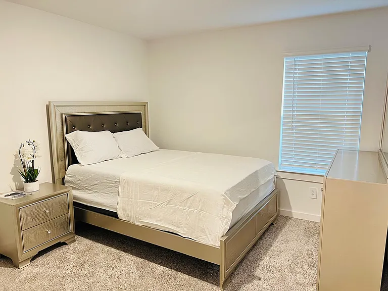 3115 Magnolia Blossom Ln — Photo 5