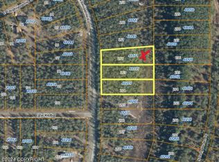 48171 S Bendapole Rd, Talkeetna, AK 99676