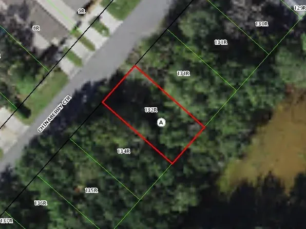 92 Chinaberry Cir, Homosassa, FL 34446