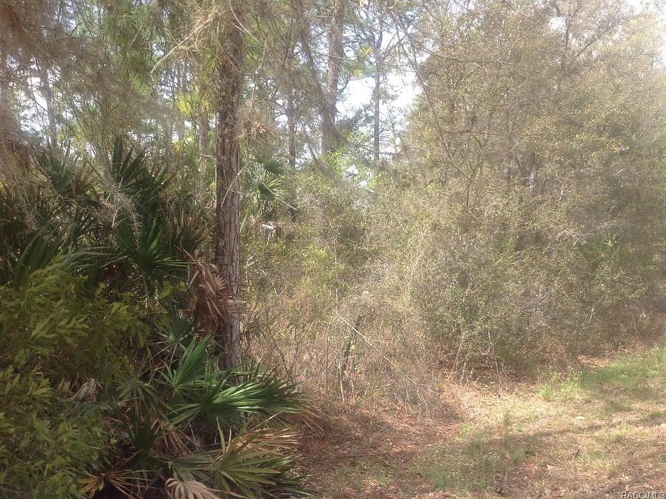 2nd image of 5594 N Andri Dr