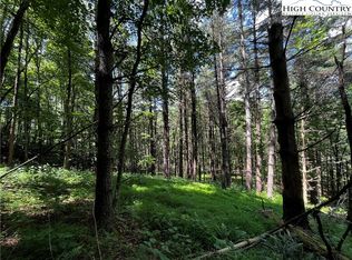 Tbd Milton Moretz Rd, Boone, NC 28607