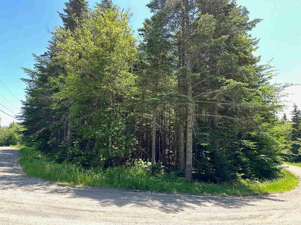 57 Antler Loop, Dover, VT 05356
