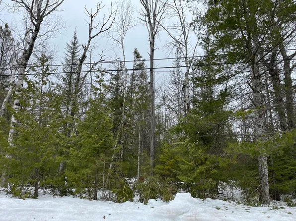 LOT 310 Kauffman Rd, Presque Isle, MI 49777