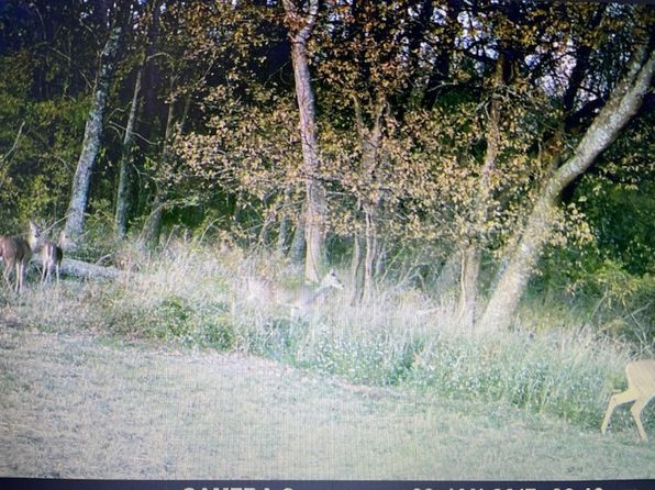 1015 Private Road 4613, Sulphur Springs, TX 75482