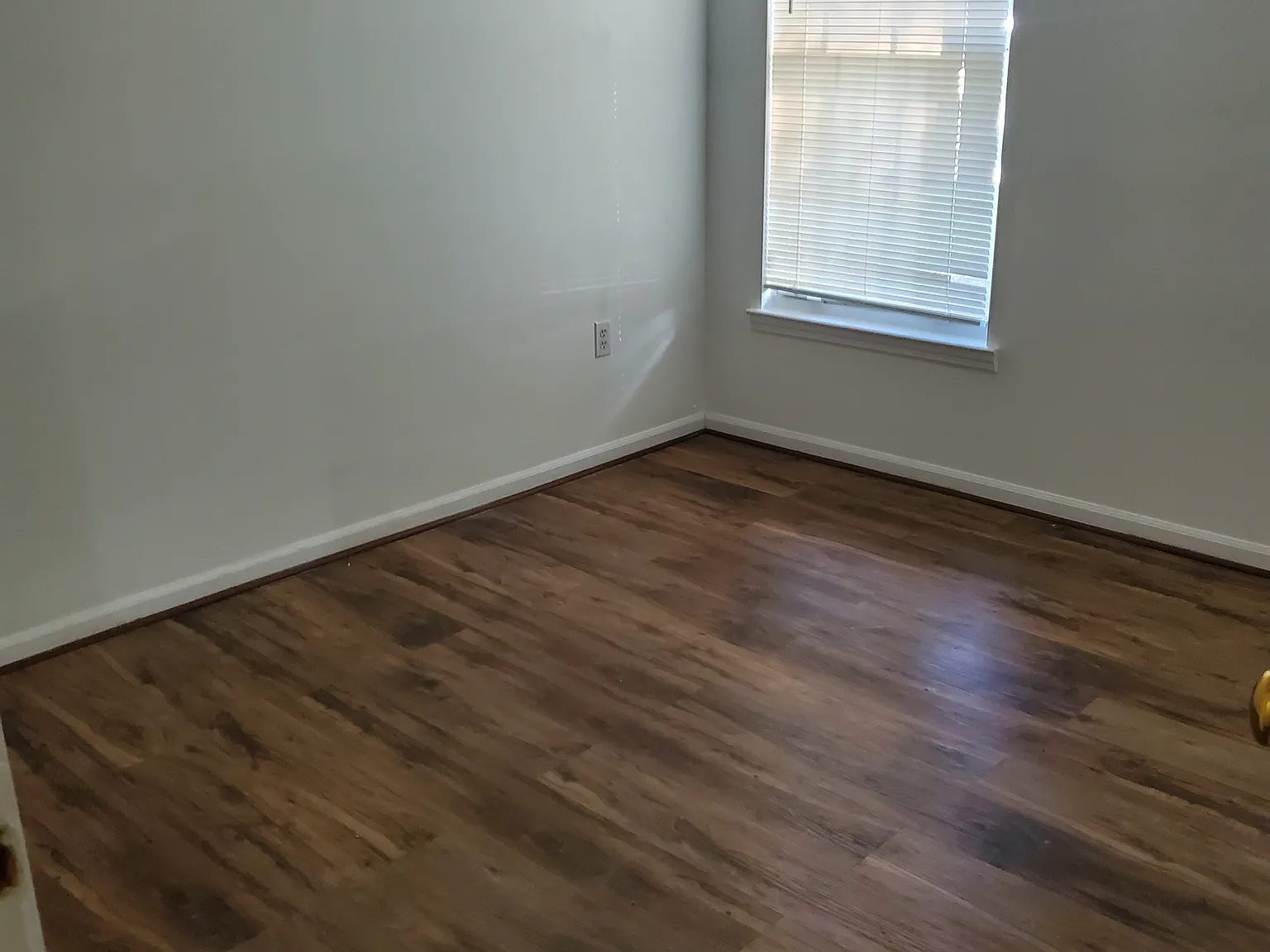 2 bed, 1000 sqft, $1,450 — Photo 2