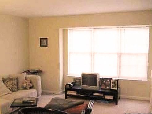 Living area (will have new tile floors)