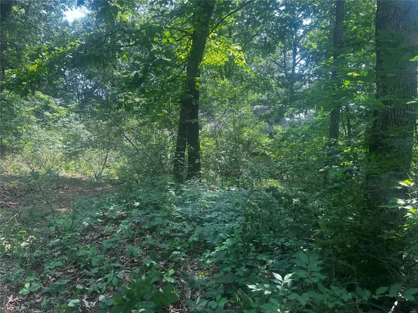 6219 Osage Dr, French Village, MO 63036