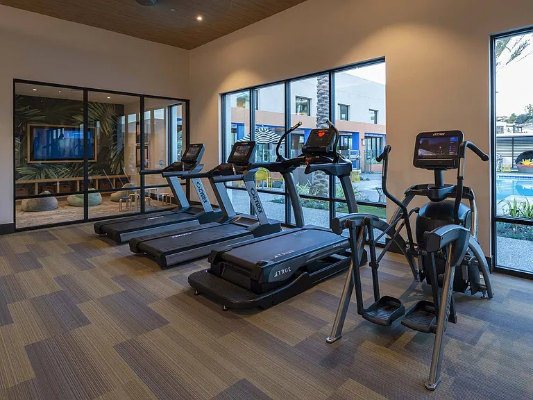 Elevate your workout with cardio machines that offer a stunning view, making fitness a pleasure.