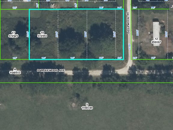 3 large lots