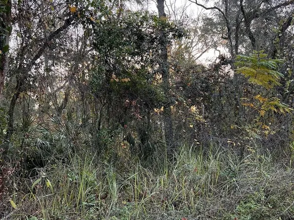 000 SE 69th Ter, Trenton, FL 32693