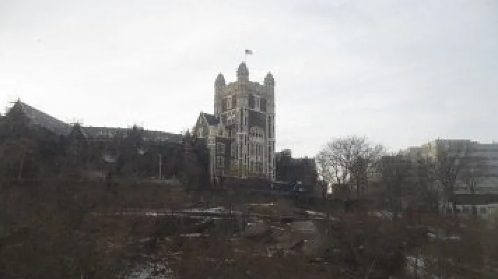 Rented by Bohemia Realty Group | media 7