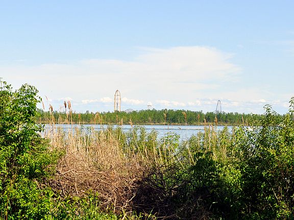 Cedar Point in the distance