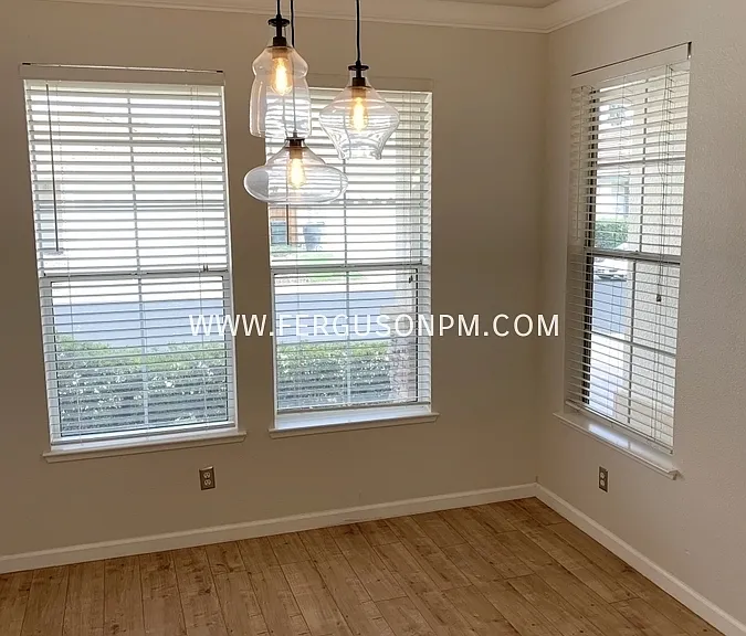 8957 Rising Mist Way — Photo 4