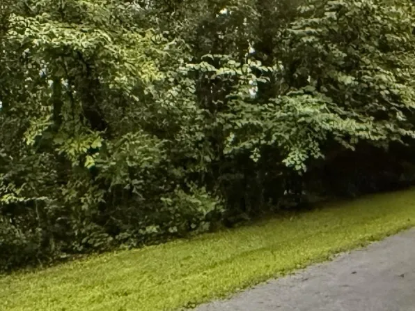 32 Woodside St Lot 32, Childersburg, AL 35044