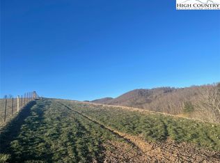 Joe Thomas Rd, Mouth Of Wilson, VA 24363