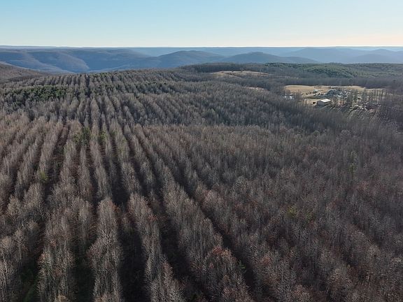 3rd image of 0 Lewis Rd.