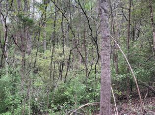 Jacobs Ladder, Lexington, VA 24450