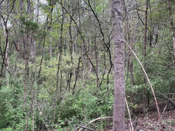 Jacobs Ladder, Lexington, VA 24450