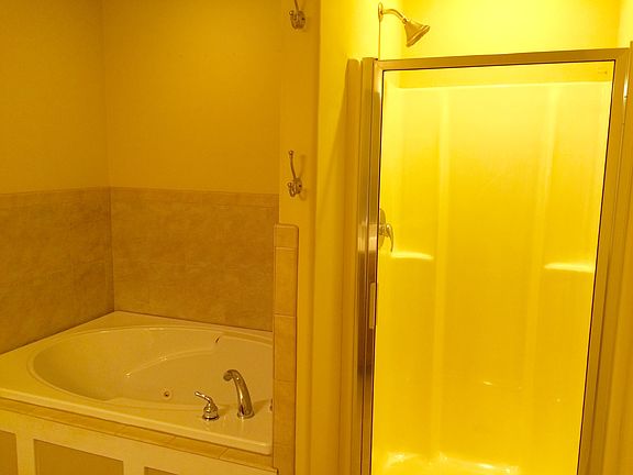 Master bathroom with standing shower and jetted tub