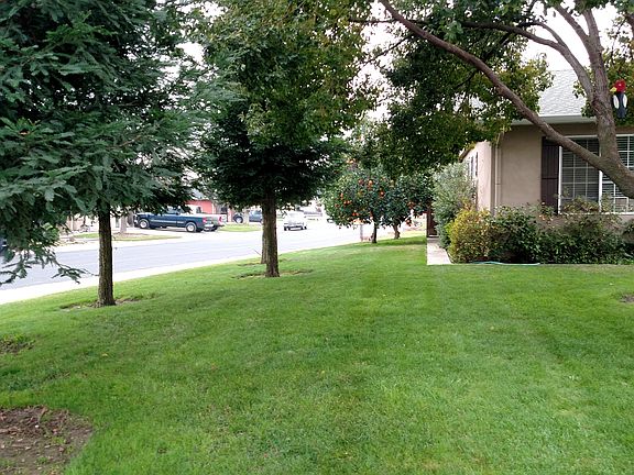 Frontyard side view 