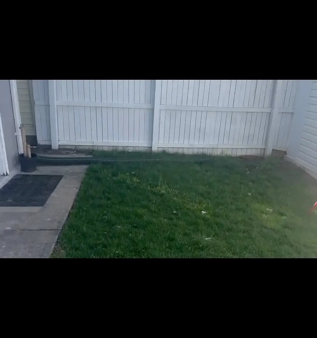 1 bed, $850 — Photo 3